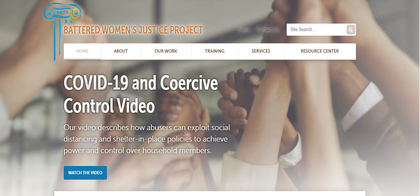 Battered Women's Justice Project
